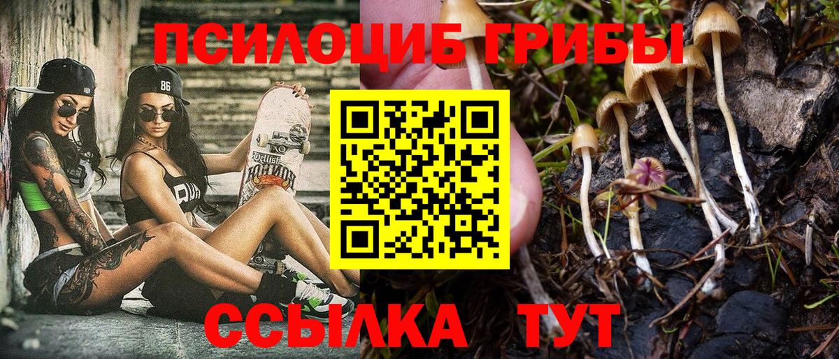Галлюциногенные грибы GOLDEN TEACHER Киселёвск